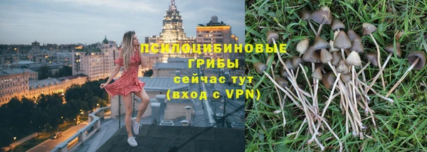 мяу мяу мука Абинск