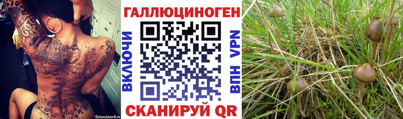 Галлюциногенные грибы GOLDEN TEACHER Сызрань